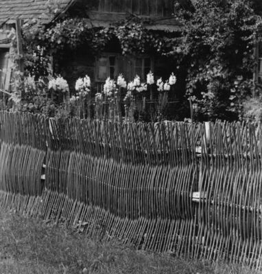 Gušće (Sisak) - Ograda od šiblja oko vrta kuće kbr. 73