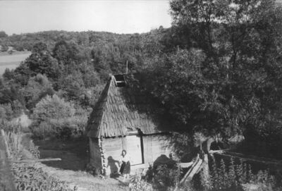 Javnica (Dvor na Uni) - Mlin uz potok Javnicu