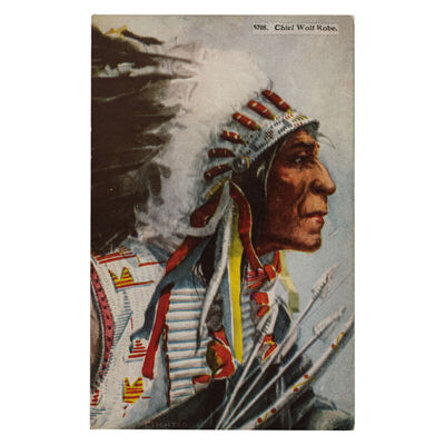 Chief Wolf Robe