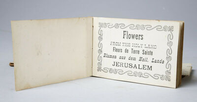 Flowers of the Holy Land