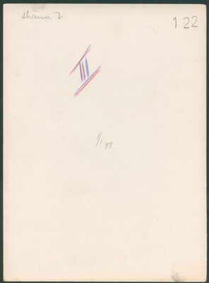 Brdovac, Novi dvori
