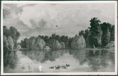 Maksimir