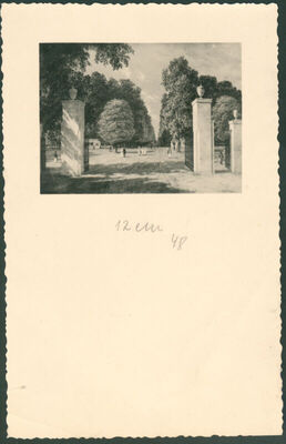 Maksimir