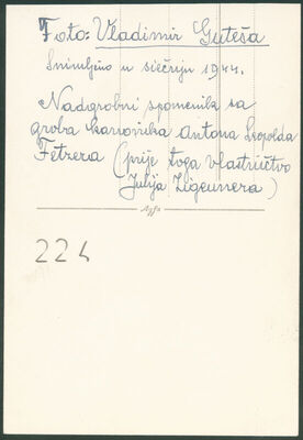 Fetzer Anton Leopold