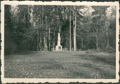 Maksimir