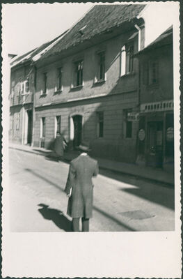 Pivara gradska