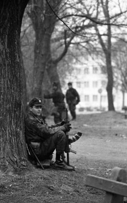 Pakrac, 3. ožujka 1991.