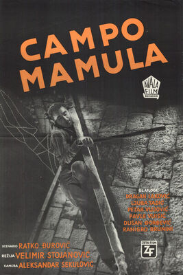 CAMPO MAMULA