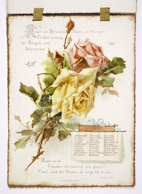 BLUMENWUNSCHE KALENDER fur 1898.