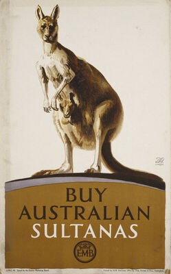 E.M.B. BUY AUSTRALIAN SULTANAS