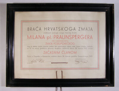 Braća hrvatskog zmaja