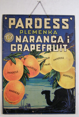 Pardess plemenka naranča i grapefruit