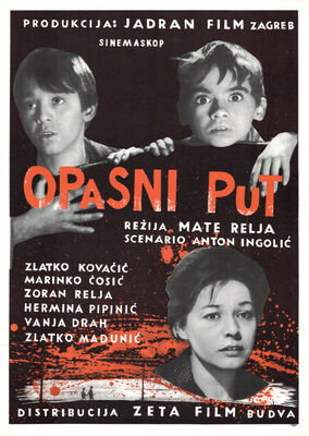 OPASNI PUT