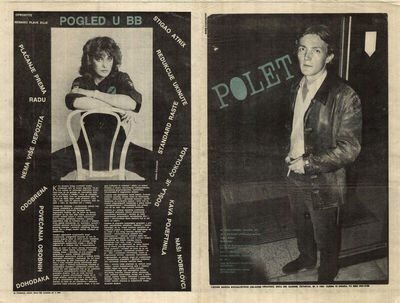 Polet 239