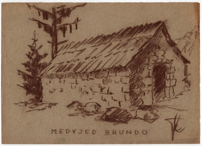 Medvjed Brundo