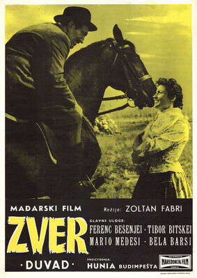 ZVER