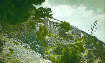 BRAČ - PICOKARE