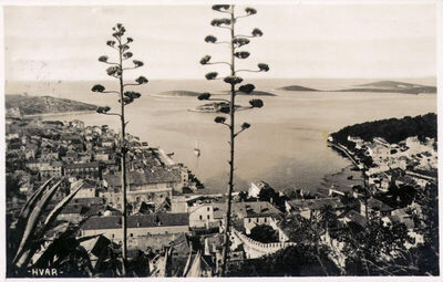 Hvar- Panorama