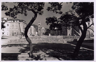 Hvar- Panorama kroz drveće