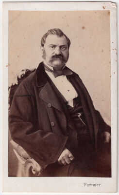 Portret nepoznatog