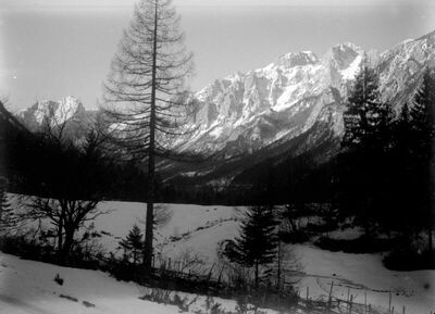 Velika planina
