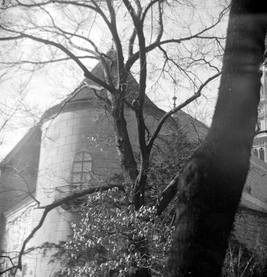 Kaptolska kula