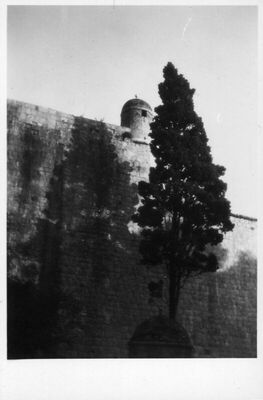 Dubrovnik - zidine