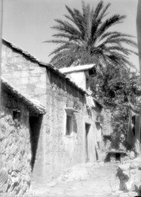 S Jadrana