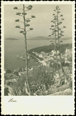 Hvar - Panorama