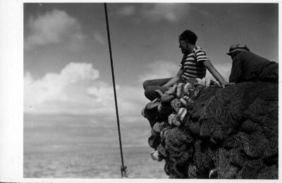 Ribar