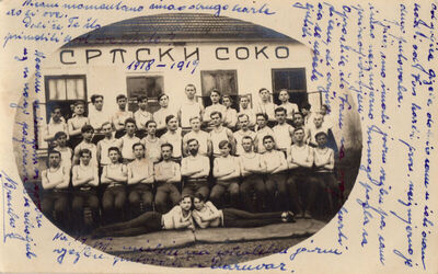 Srpski soko