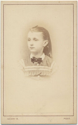 Sani Leurzer