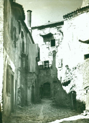 VRBNIK