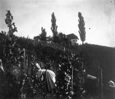 BERBA