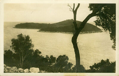 Dubrovnik - Lokrum
