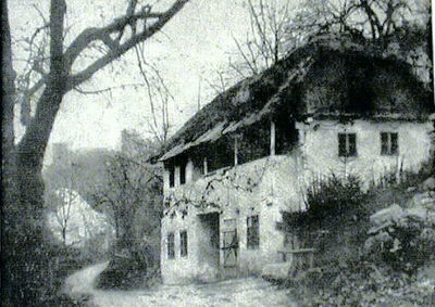 Samoborski trg - Kurja