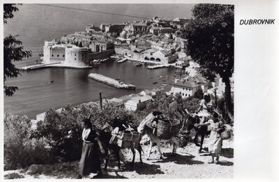 Dubrovnik - Panorama