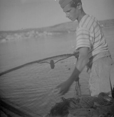 Ribar