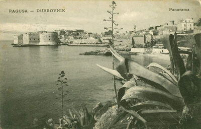 Dubrovnik - Panorama
