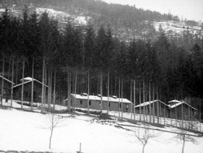 Čuvaj se... - Zimski pejsaž oko sanatorija