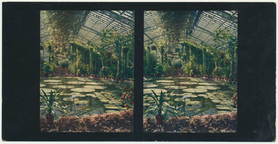 Frankfurt - Palmengarten