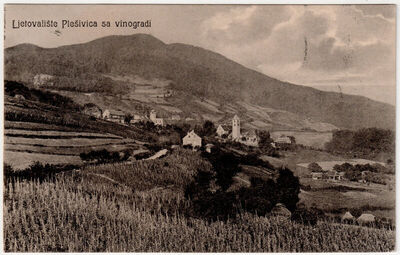 Plješivica - Vinogradi
