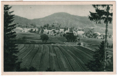 Lokve s vinograda