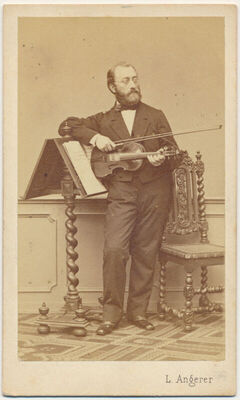 Violinist Laub