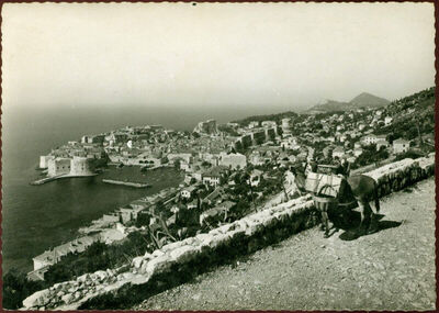 Dubrovnik - panorama s Bosanke