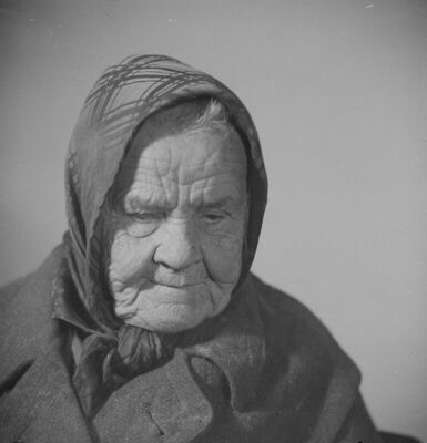 Zabrađena baka