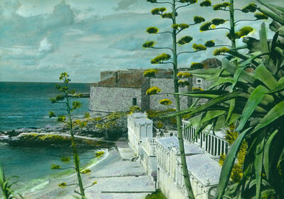 DUBROVNIK - KUPALIŠTE PLOČE