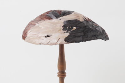 Šešir od perja