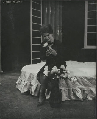 Paučina - 1964