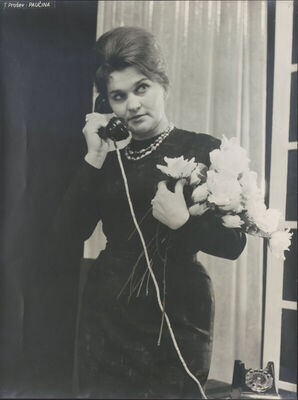 Paučina - 1964